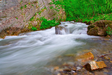 brook in the forests of duf region in macedonia