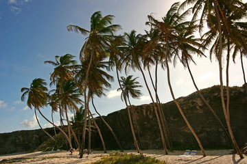 Obraz premium bottom bay, barbados