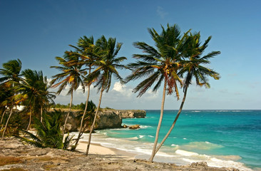 bottom bay cliffs