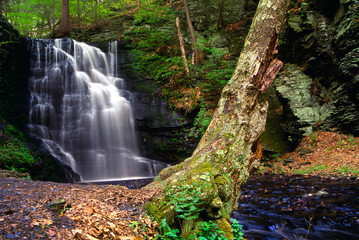 bushkill waterfall