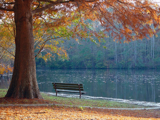 fall view