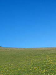 field