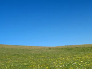 Gordijnen field © Ali Taylor