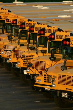 lot of school buses