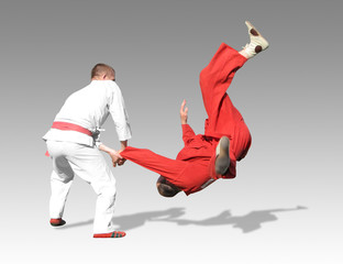 performance of the sportsmen