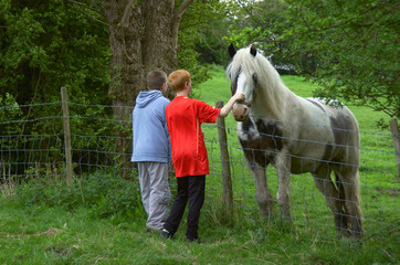 seeing the horse