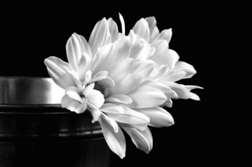 black and white sun