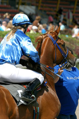 horse-racing
