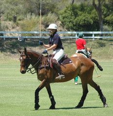 polo player