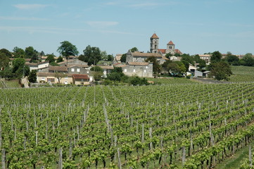 Fototapeta na wymiar Winnice w Saint-Emilion - Francja
