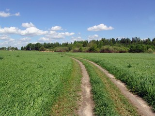 Fototapeta na wymiar country road in a field
