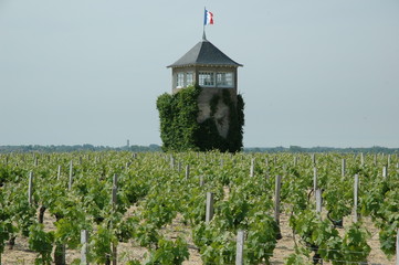 un vignoble bien fran&ccedil;ais -  france