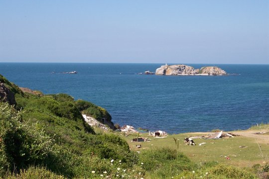 an island in riva