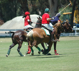 polo players