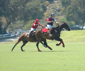 polo players