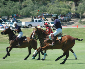 polo players