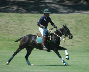polo player