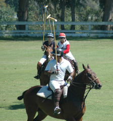 polo players