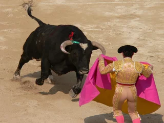 Gordijnen corrida © Tilio & Paolo