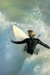 shredding the blue ii