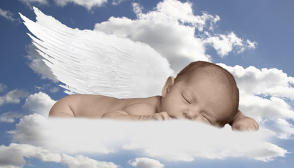baby infant in clouds with wings