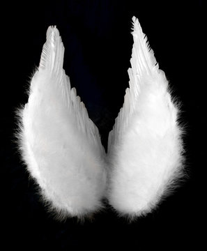 angel wings isolated on black top view