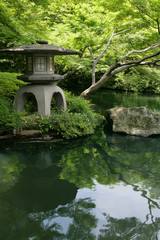 Naklejka premium japanese garden and pond