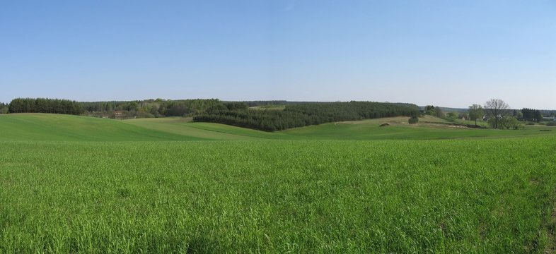 green field