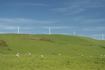 Fototapeta premium windfarm