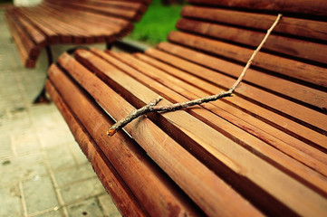 twig on a bench