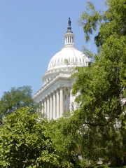 green and the capitol dome