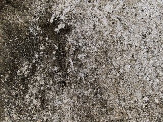macro texture - old concrete