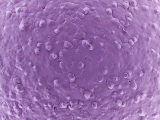 macro texture - purple painted stucco