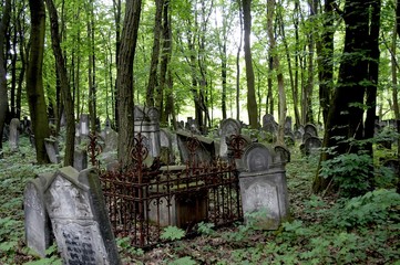 jewish cementary in lodz, poland 1