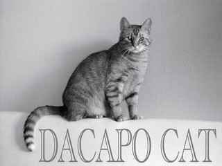 dacapo cat - 784995