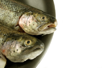 fresh trout isolated on black plate