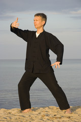 tai chi - posture ward-off