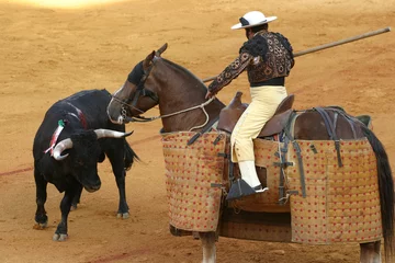 Peel and stick wall murals Bullfighting bullfighting in sevilla