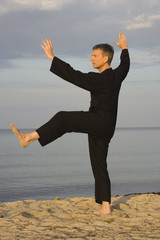 tai chi - posture kick with left heel
