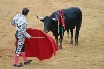 Wall murals Bullfighting bullfighting in seville