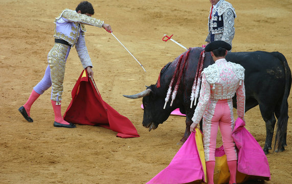 killing the bull