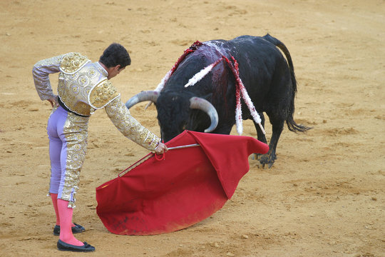 bullfighting in seville, spain.