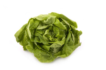 butterhead lettuce