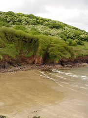 beach with cliff greenery