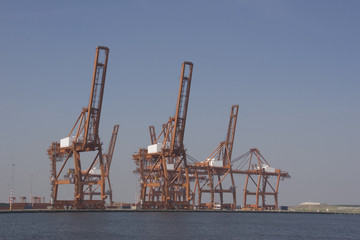 Fototapeta premium cranes