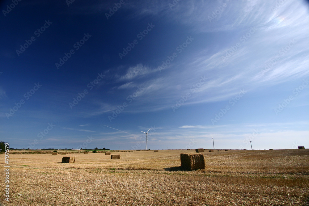 Wall mural wind mill