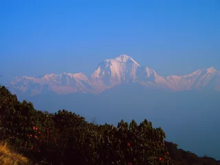 Fotobehang Dhaulagiri dhaulagiri