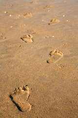 spuren im sand