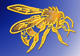 Obraz na płótnie Canvas abeille jaune