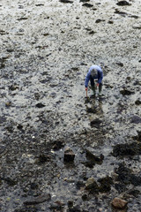 pêcheur de plage